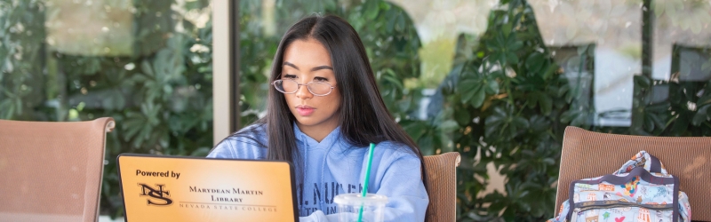 Person using computer in the library