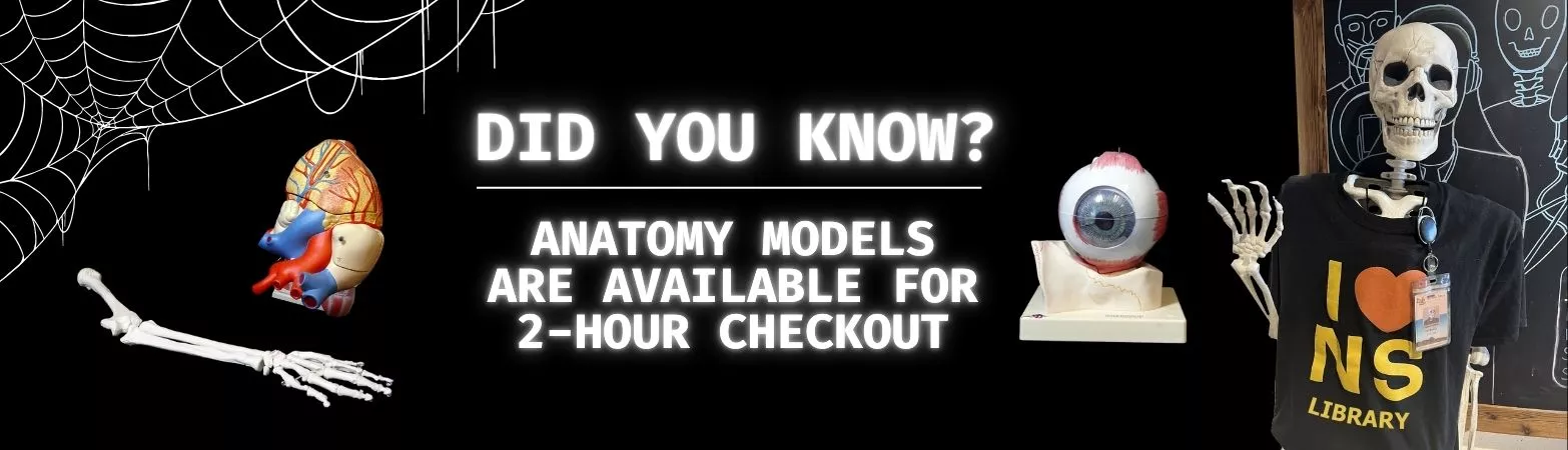 Anatomy models are available for 2-hour checkout from the library